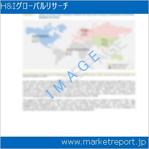 市場と産業調査レポートのイメージ